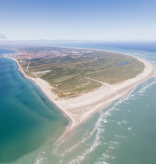Grenen